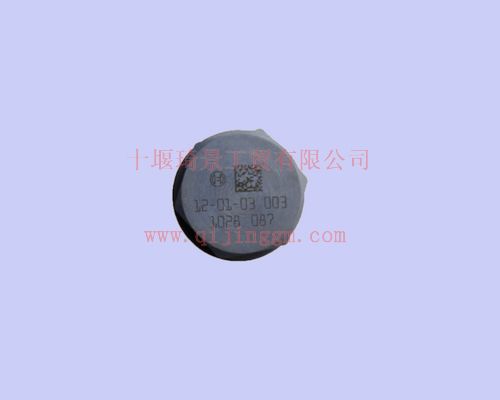 雷诺油轨限压阀 C1110010028 雷诺发动机配件 东风大力神配件