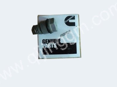 限压阀,3974093,cummins parts,dongfeng cummins parts